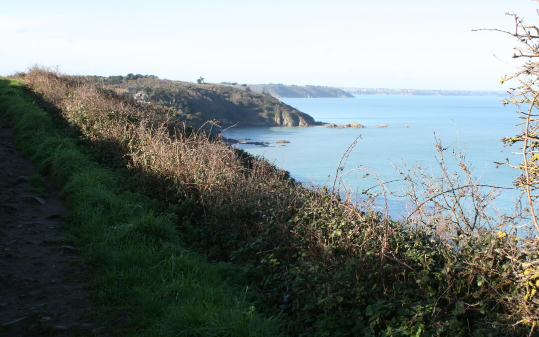 Conservatoire du littoral : Aménagement et valorisation de la Pointe du Roselier sur la commune de Plérin