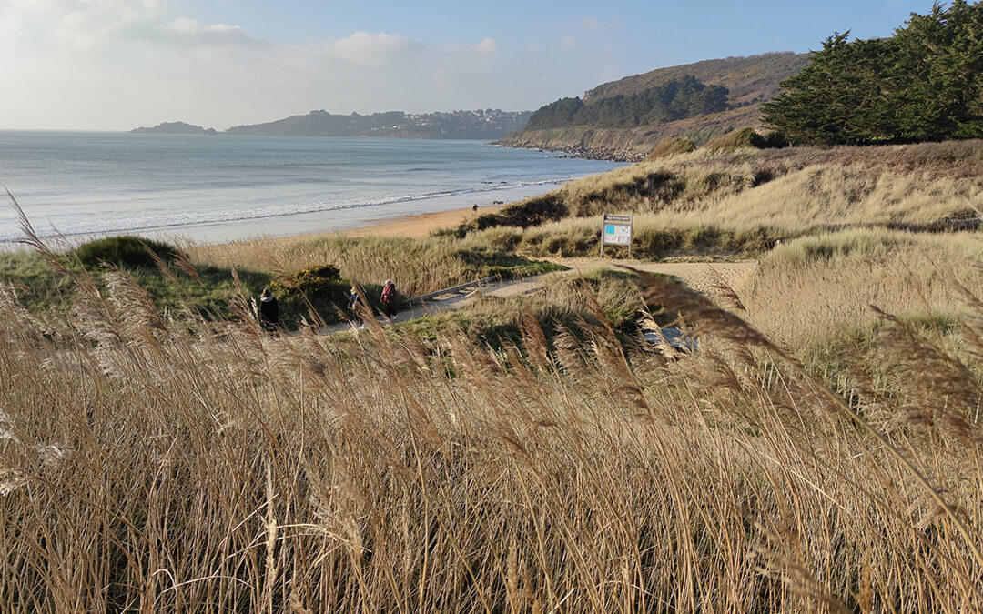 Mission de maîtrise d’oeuvre pour l’aménagement du site de « Pors-Mabo – Beg Léguer », vallée de Goas Lagorn à Lannion