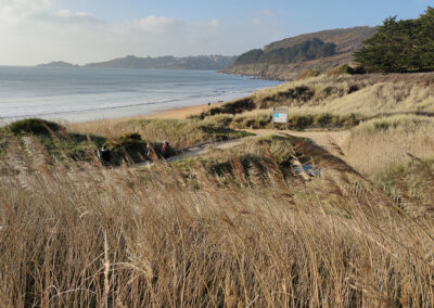 Mission de maîtrise d’oeuvre pour l’aménagement du site de « Pors-Mabo – Beg Léguer », vallée de Goas Lagorn à Lannion