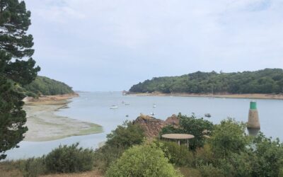 Sentier littoral à Lézardrieux (22)